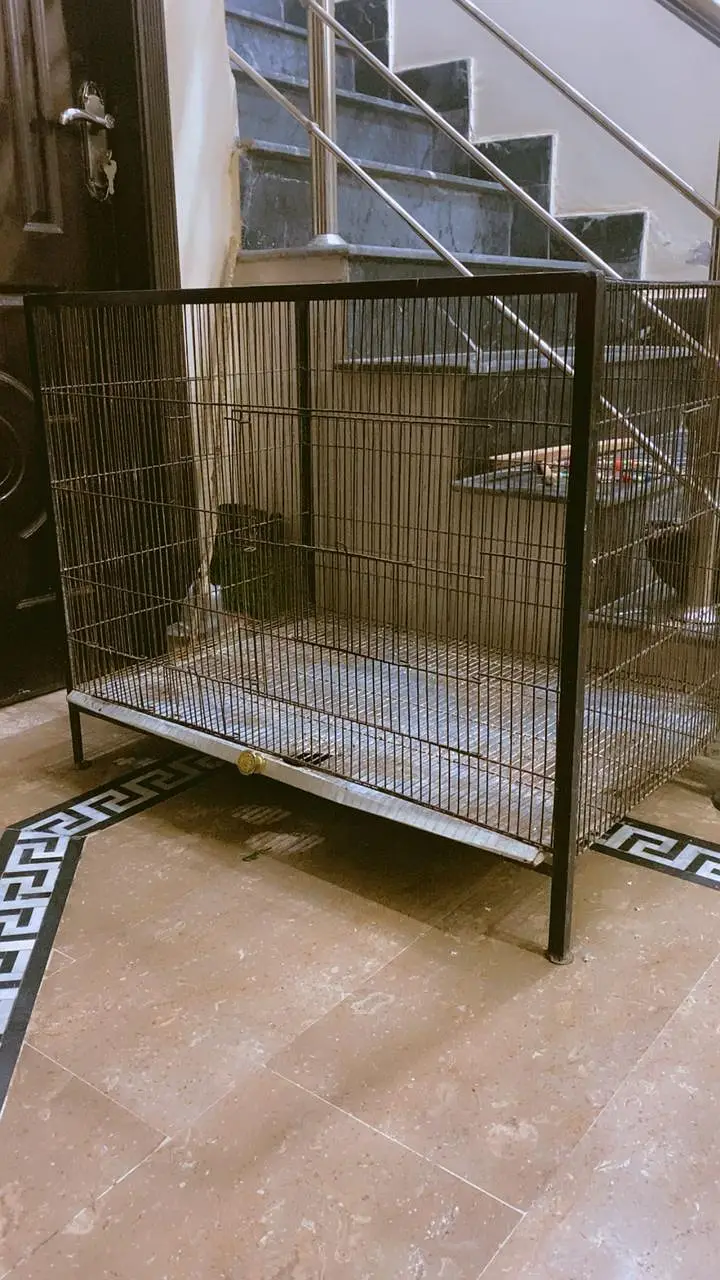 3x2 Feet Bird Cage Thick wire — photo 2