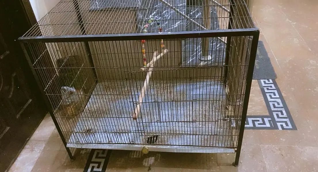 3x2 Feet Bird Cage Thick wire — photo 3