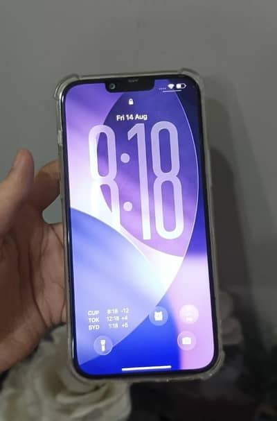 Apple iPhone 13 Pro Max