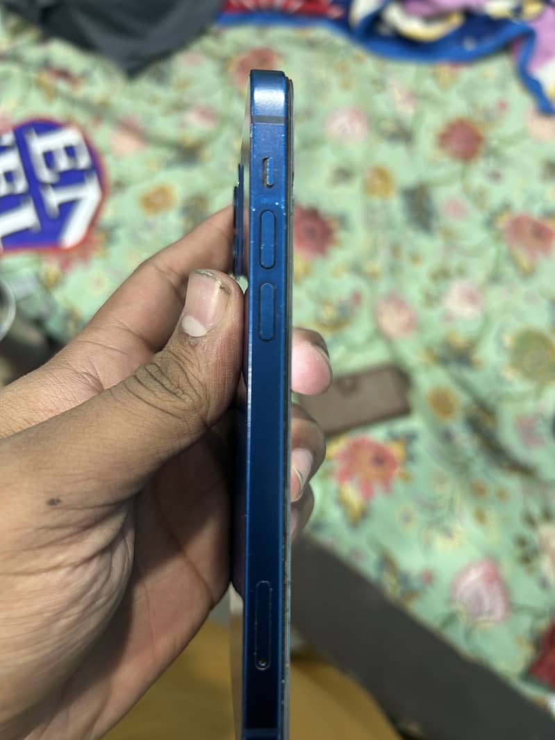 iPhone 12 1