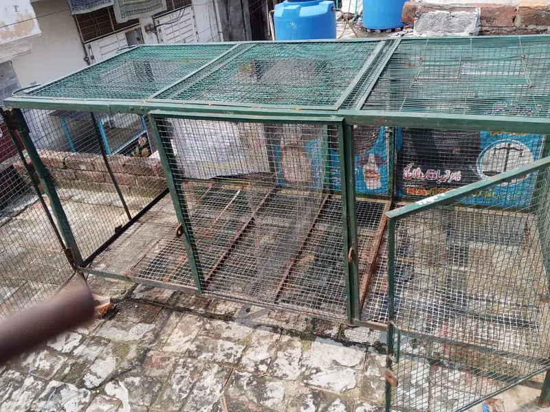 iron cage for sale — photo 2