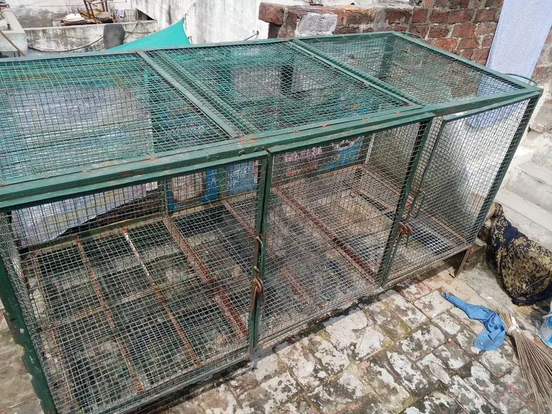 iron cage for sale — photo 3