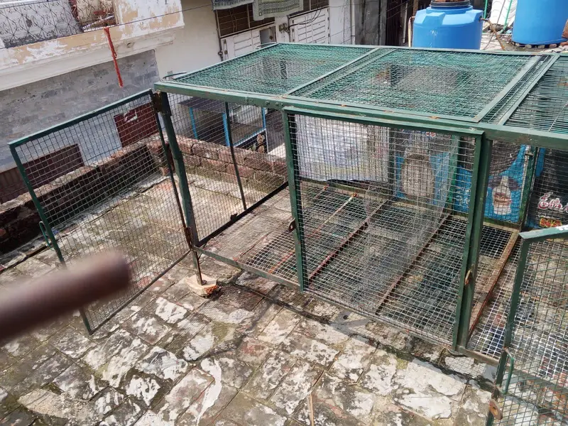 iron cage for sale — photo 4