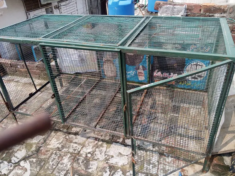 iron cage for sale — photo 5