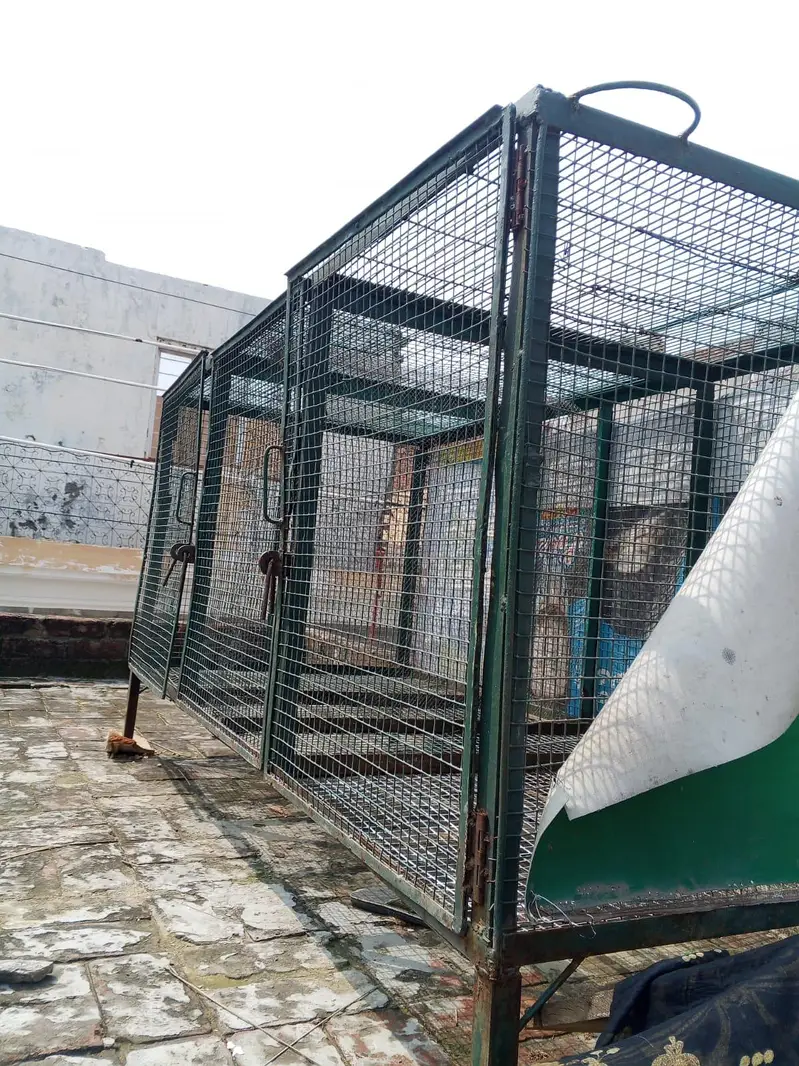 iron cage for sale — photo 8