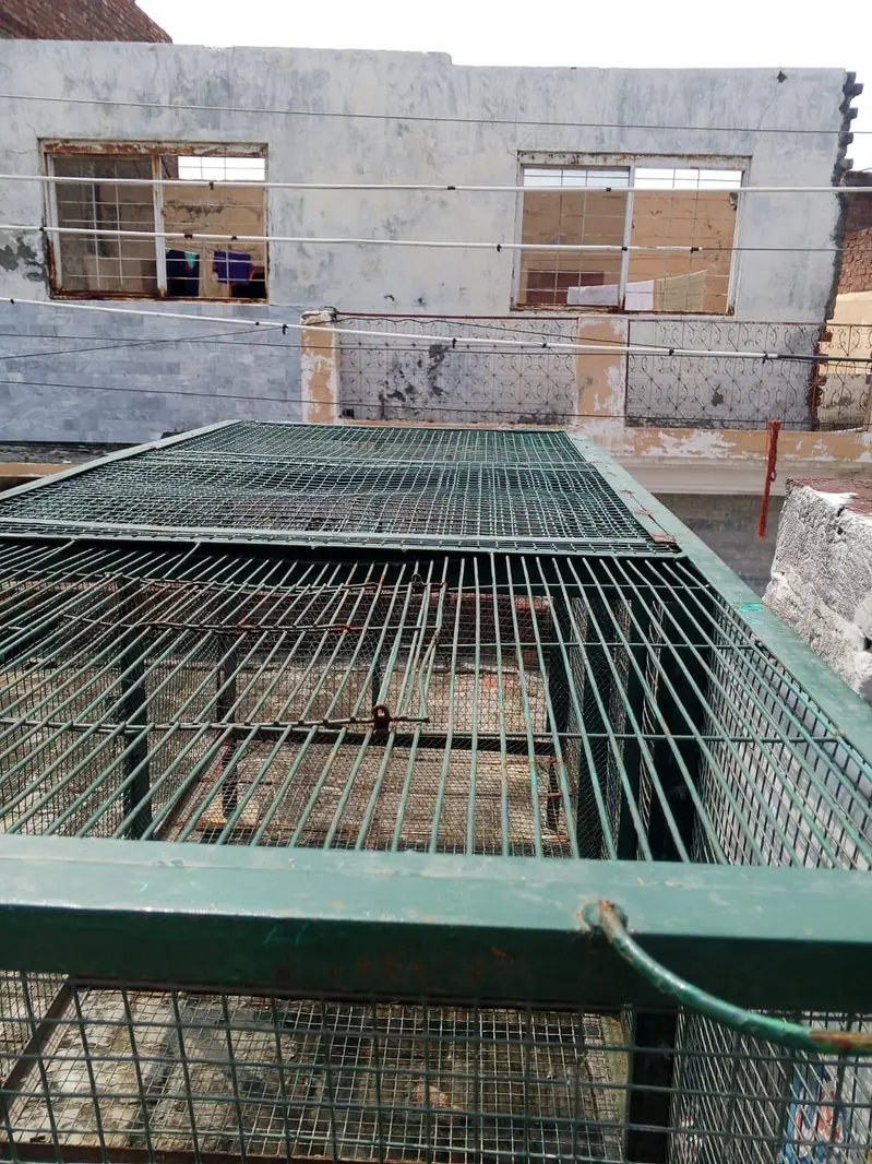iron cage for sale — photo 10