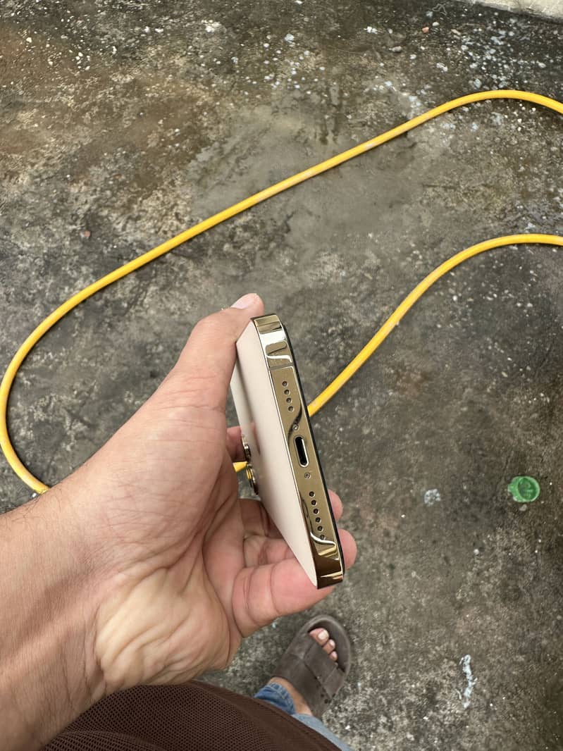 Apple iPhone 12 Pro Max 1