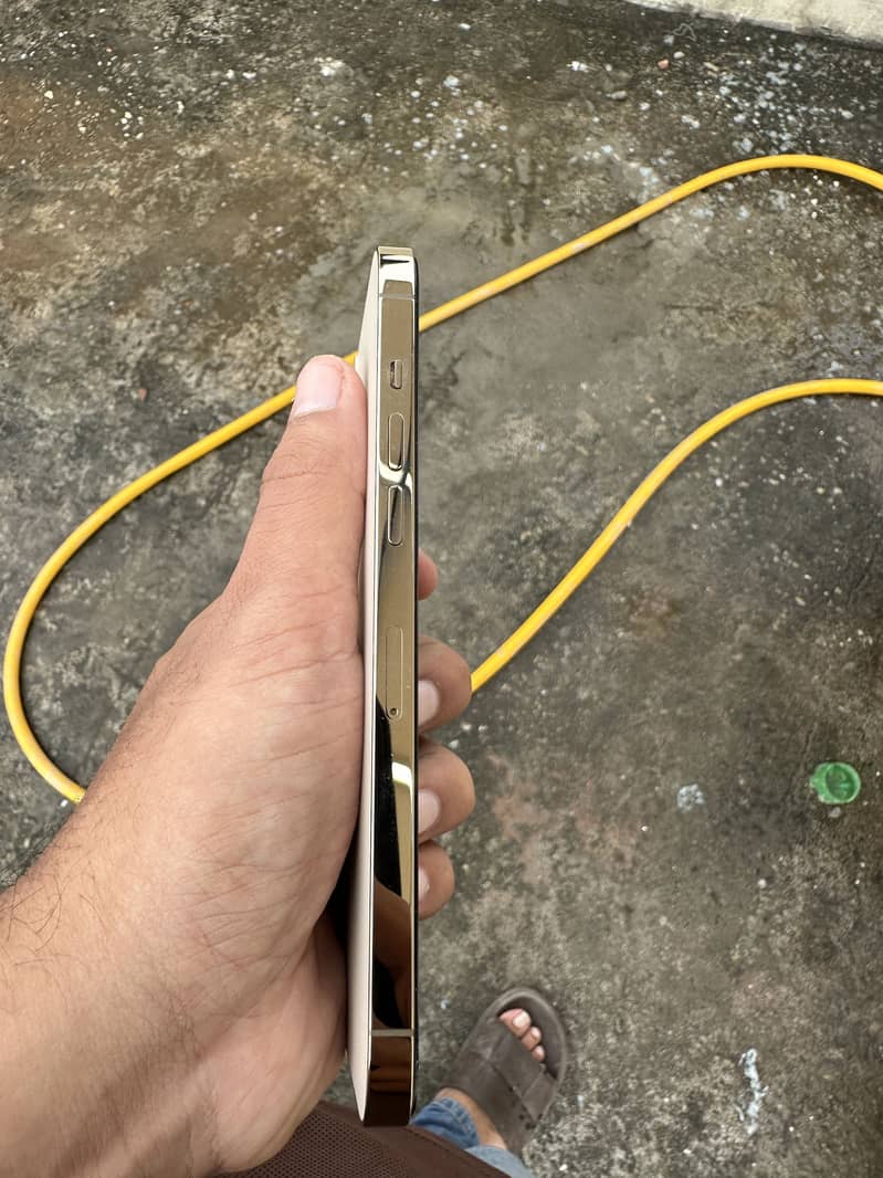 Apple iPhone 12 Pro Max 2