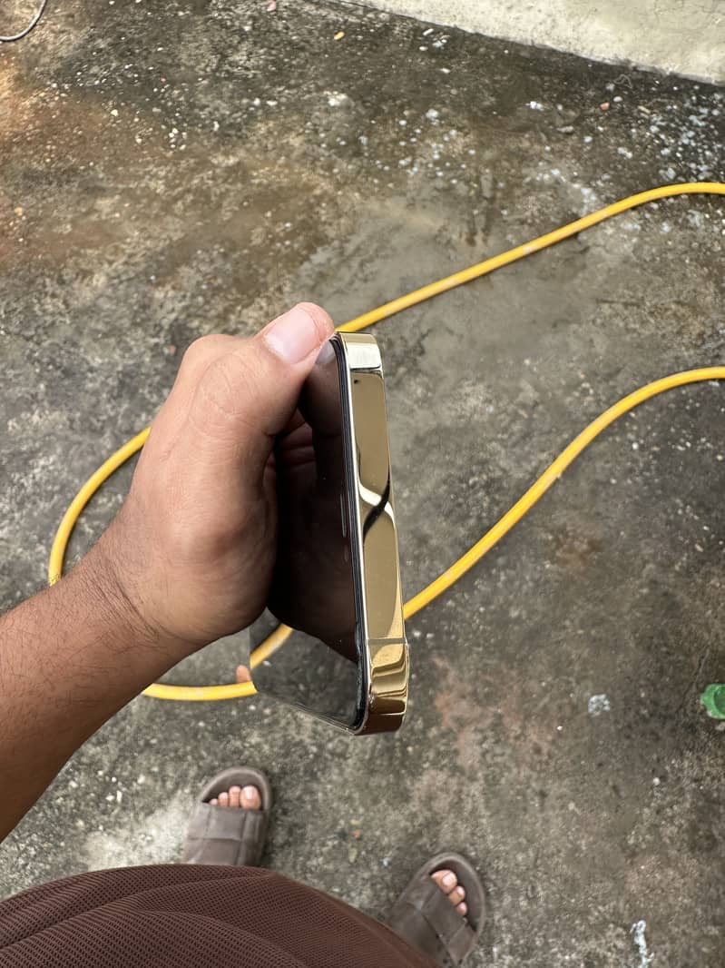 Apple iPhone 12 Pro Max 3