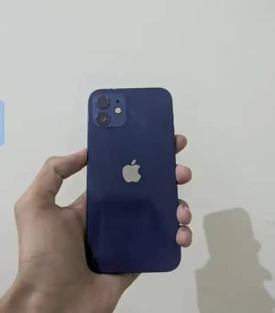 Apple iPhone 12