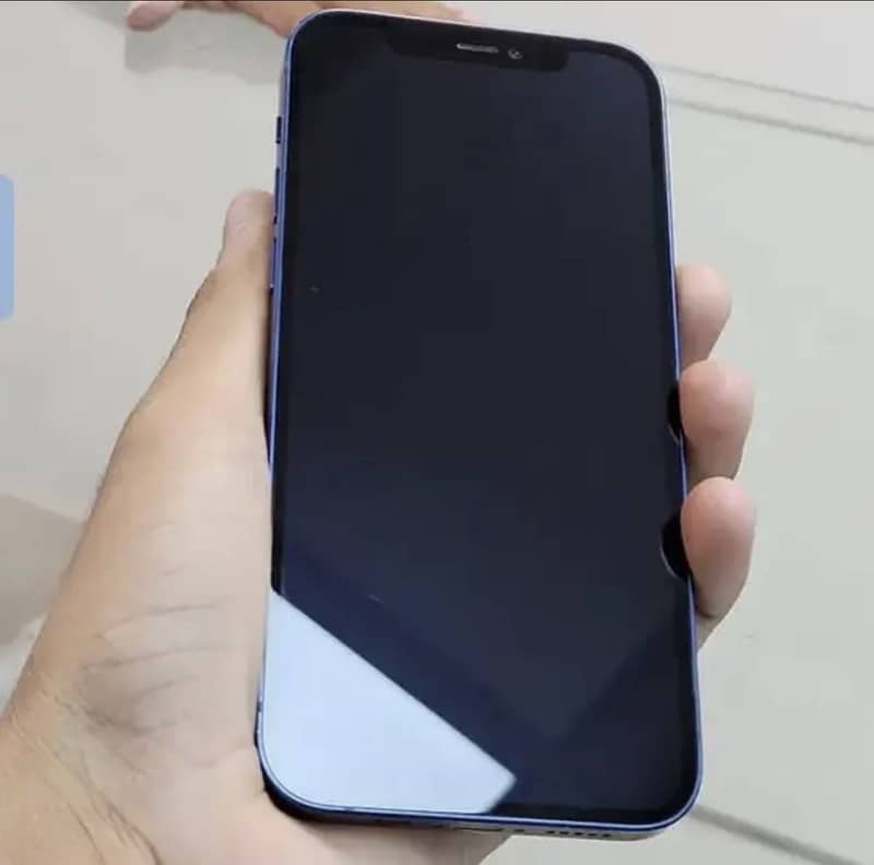 Apple iPhone 12 1