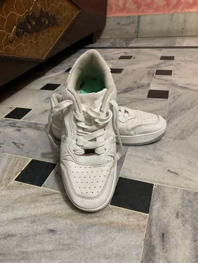 Premium Look Sneakers – Best Quality