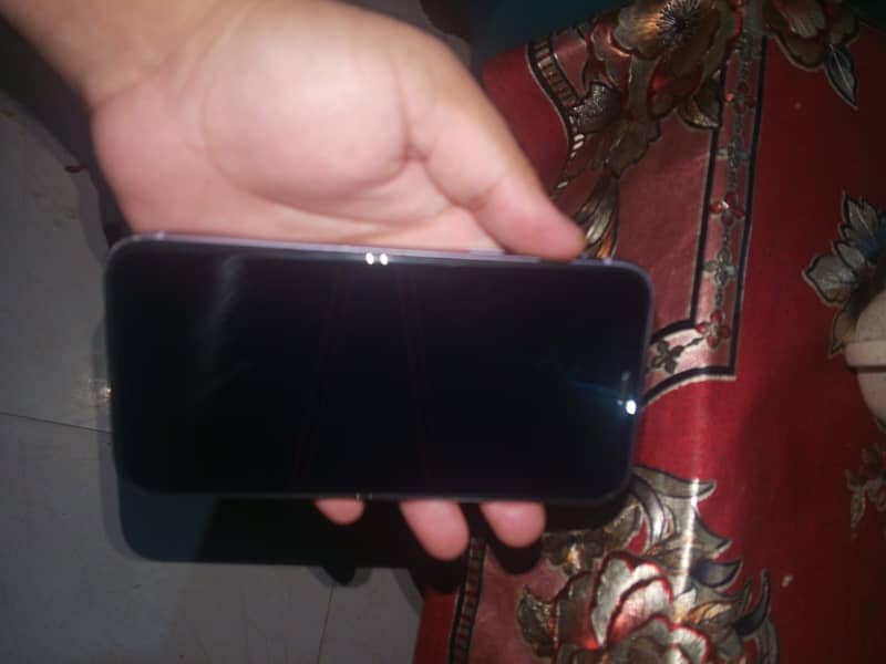 iPhone 11 5