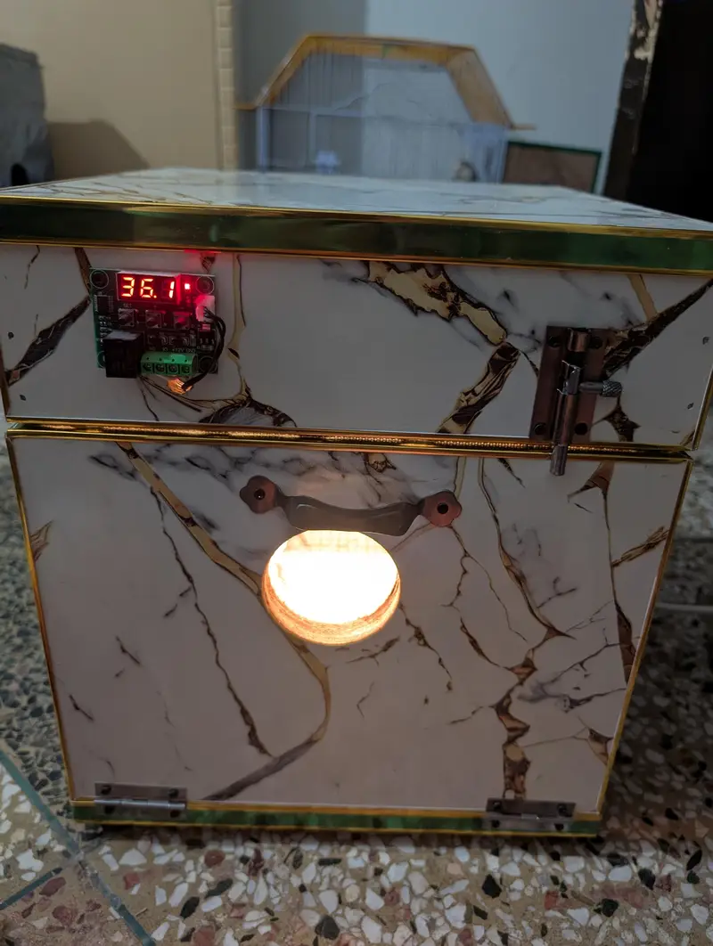 Incubator — photo 2