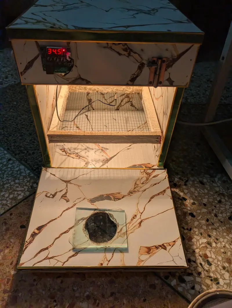 Incubator — photo 3