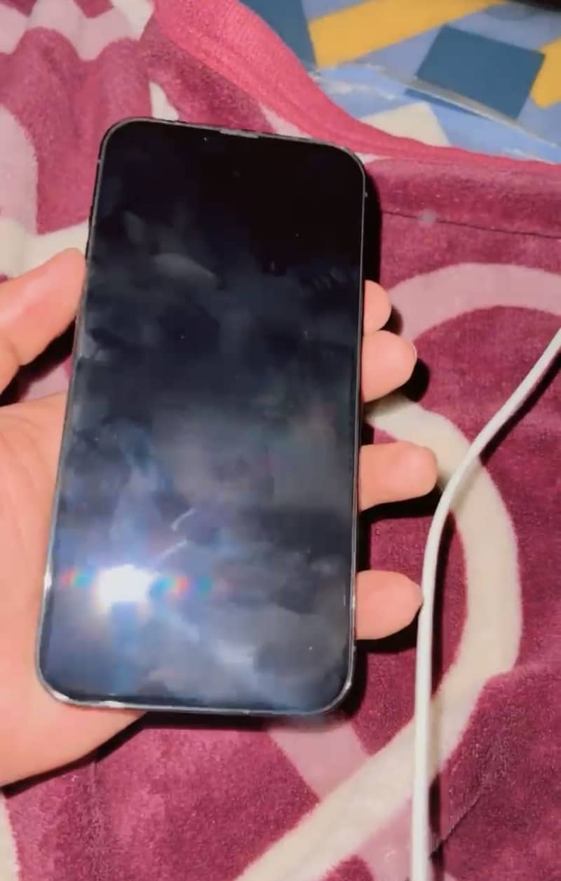 Apple iPhone 13 Pro Max 0