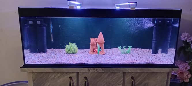 4 ft aquarium/fish tank set up with accessories