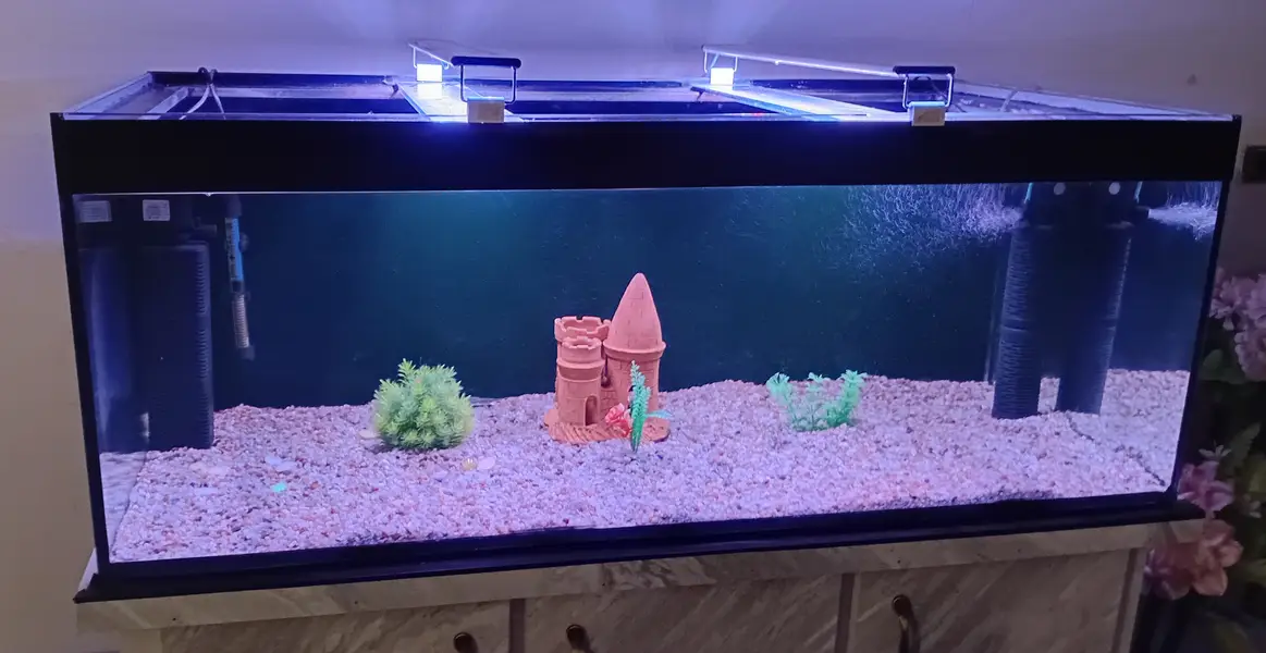 4 ft aquarium/fish tank set up with accessories — photo 2