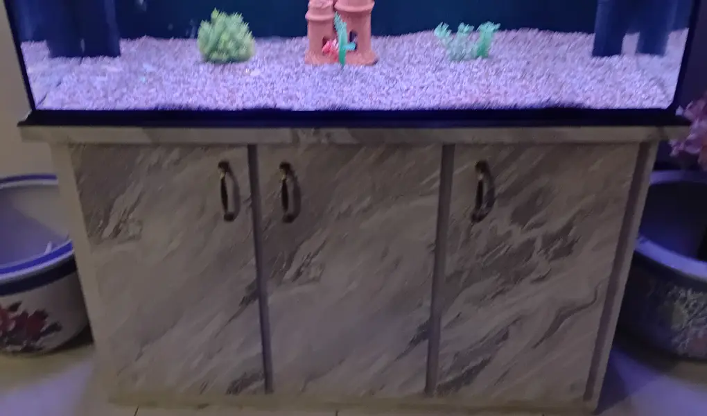 4 ft aquarium/fish tank set up with accessories — photo 3