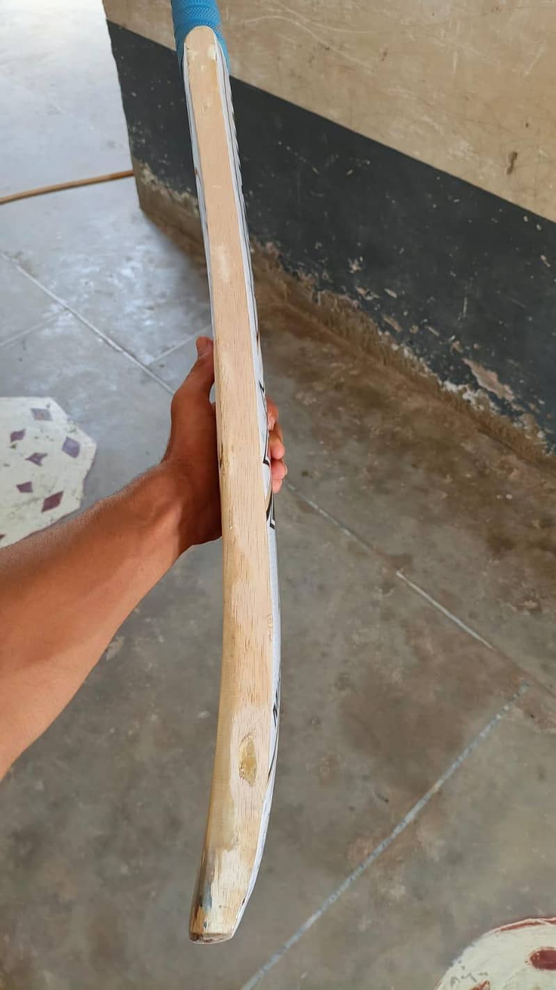 Fa used bat 2