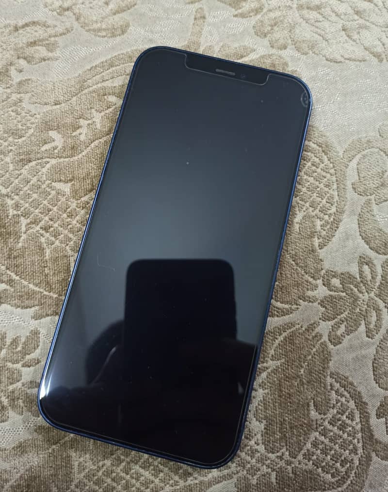 Apple iPhone 12 1