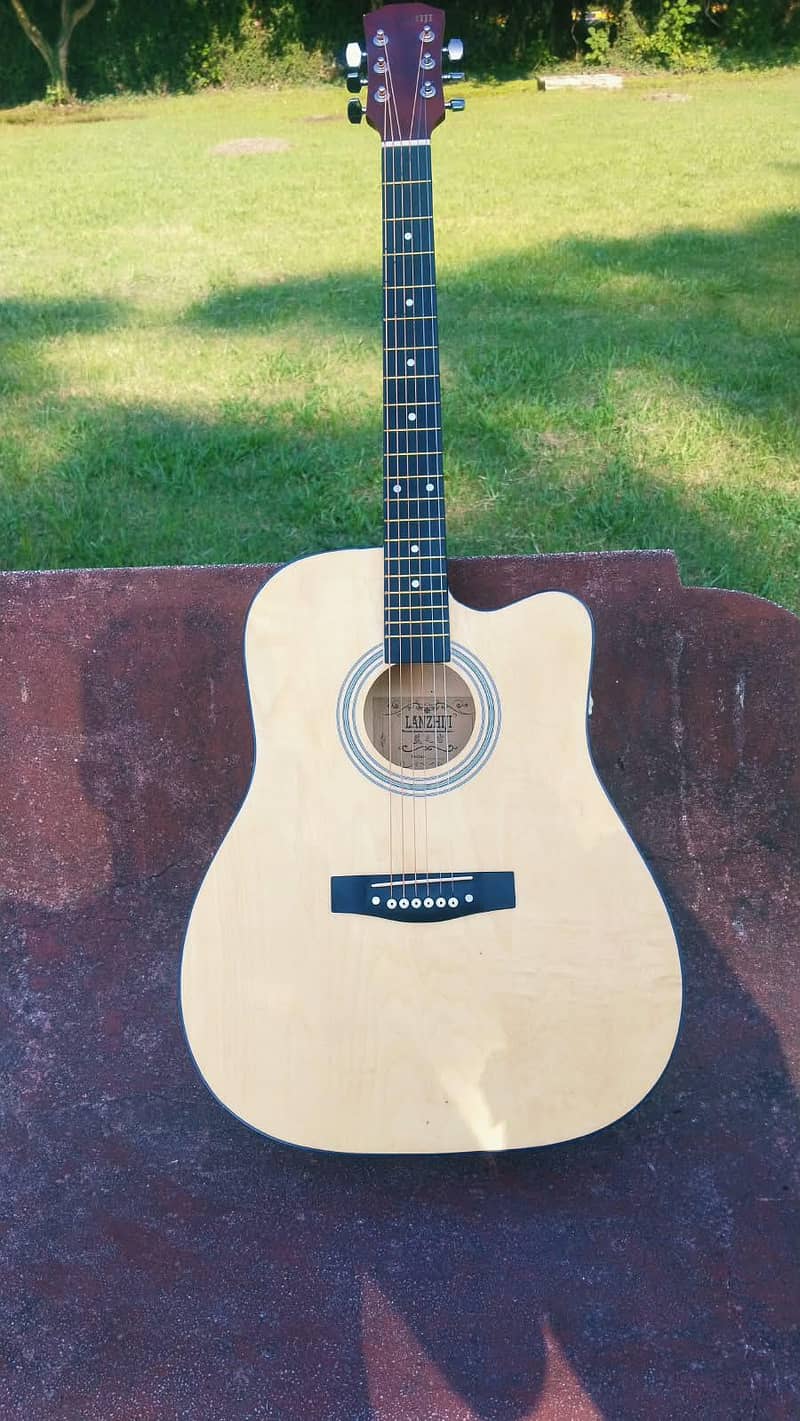 imported guitar 1