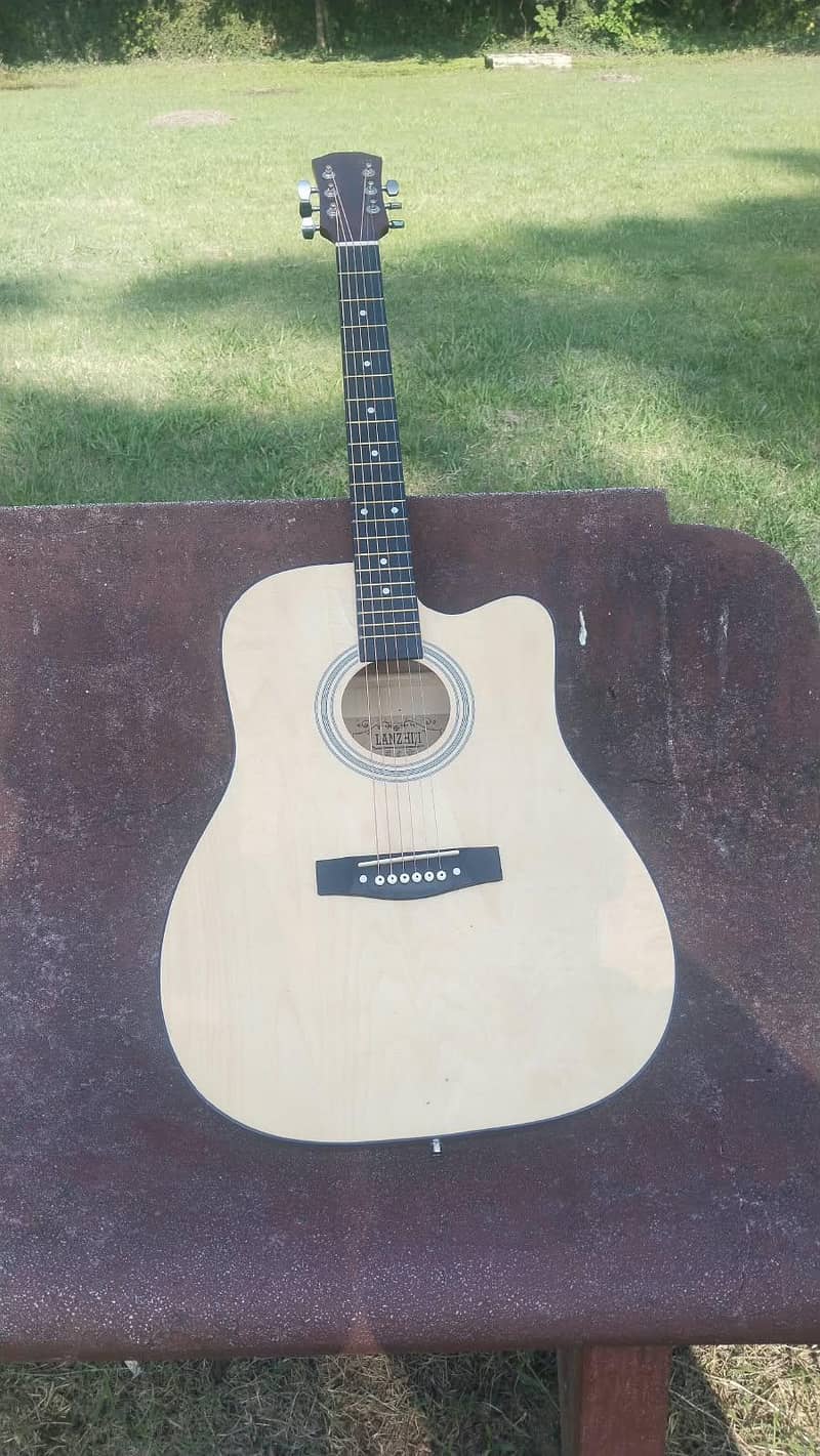 imported guitar 2