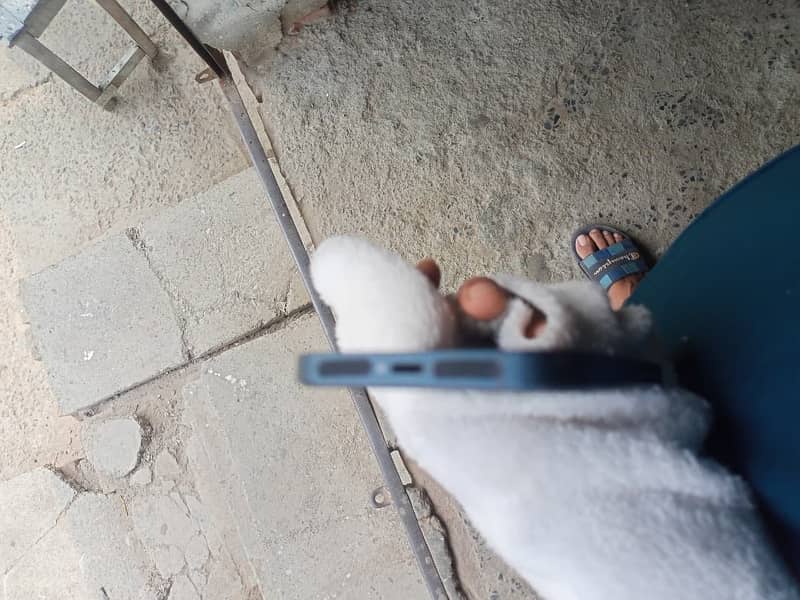 Apple iPhone 14 7