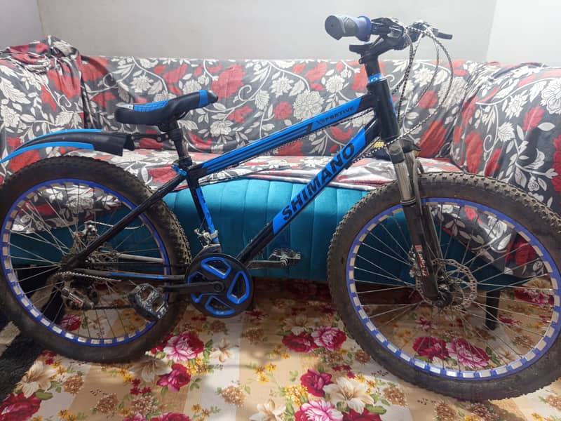 Bicycle 0
