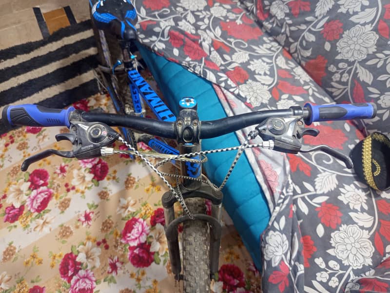 Bicycle 1