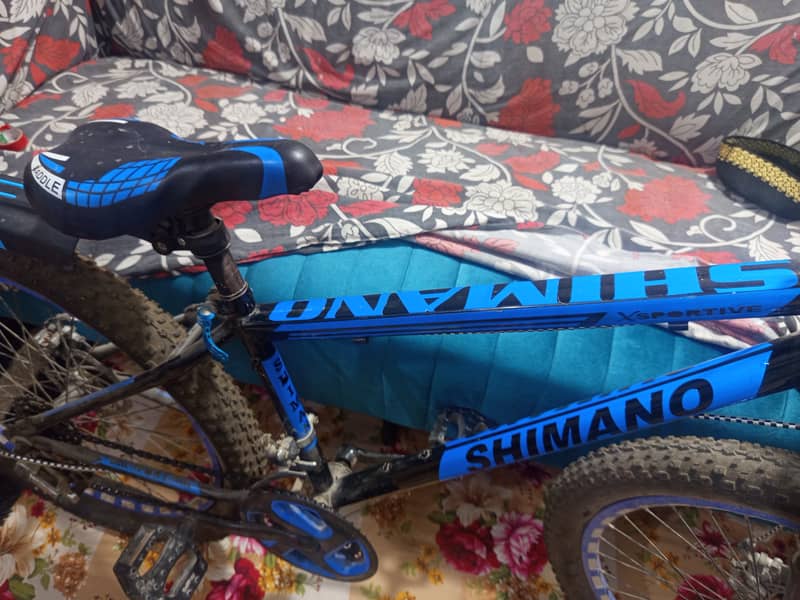 Bicycle 2