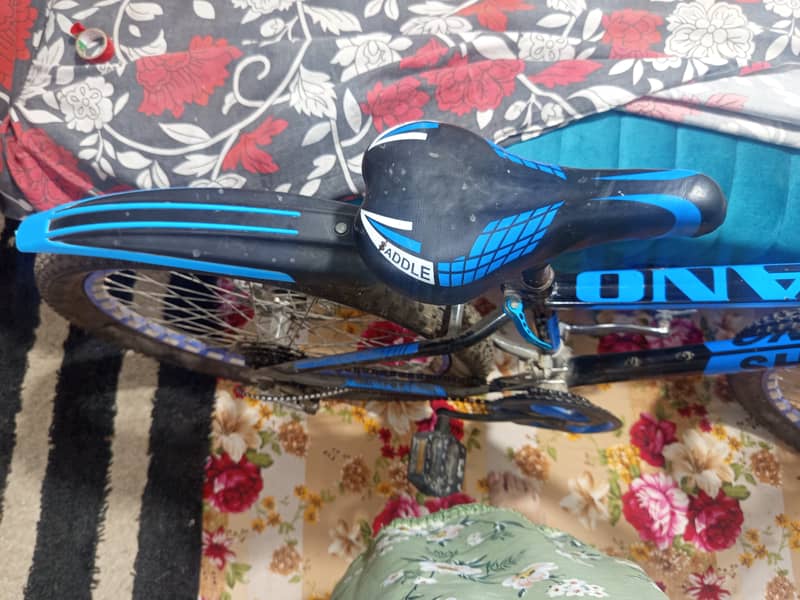 Bicycle 4