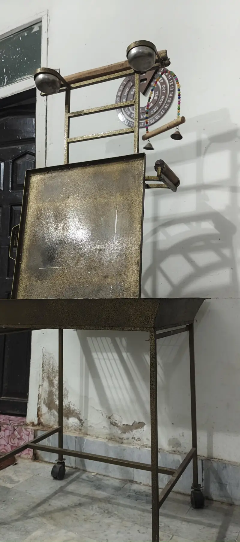 all birds stand — photo 2