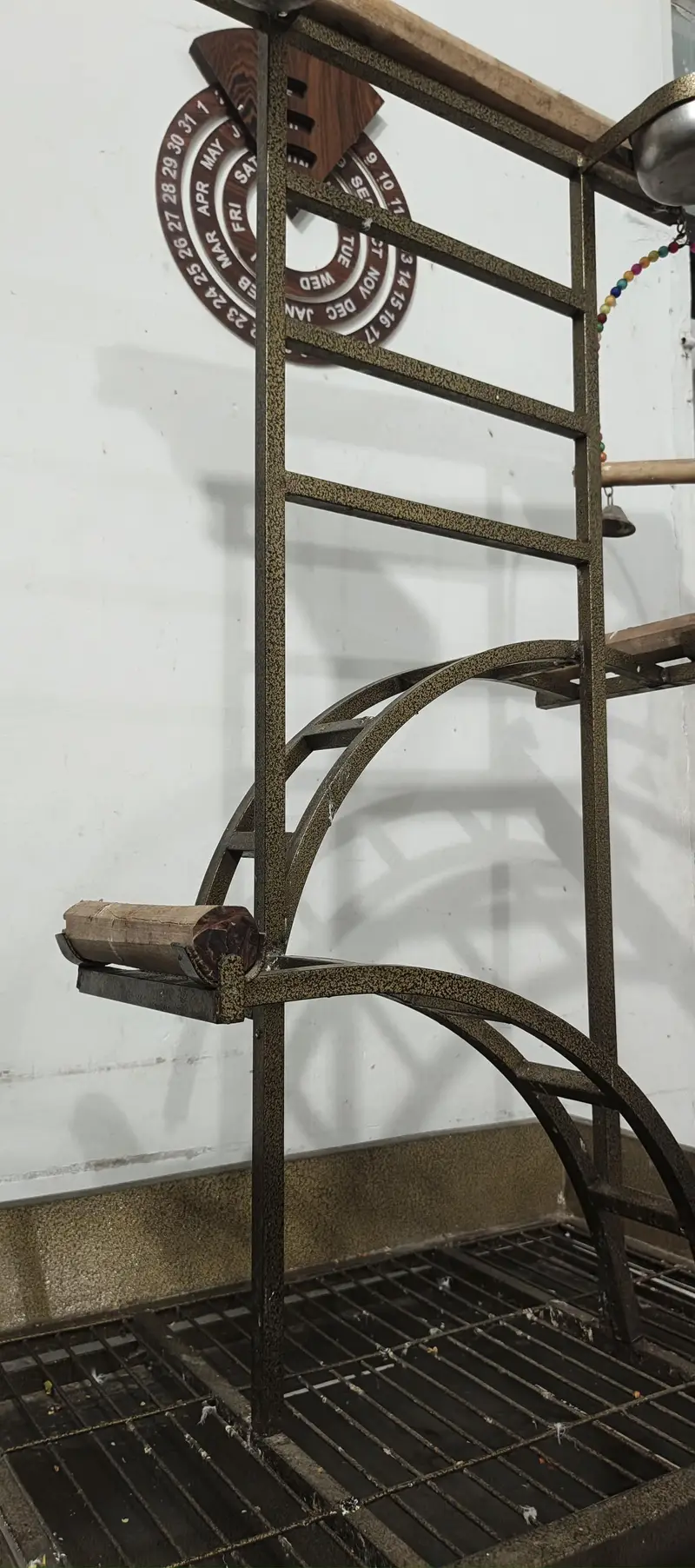 all birds stand — photo 5