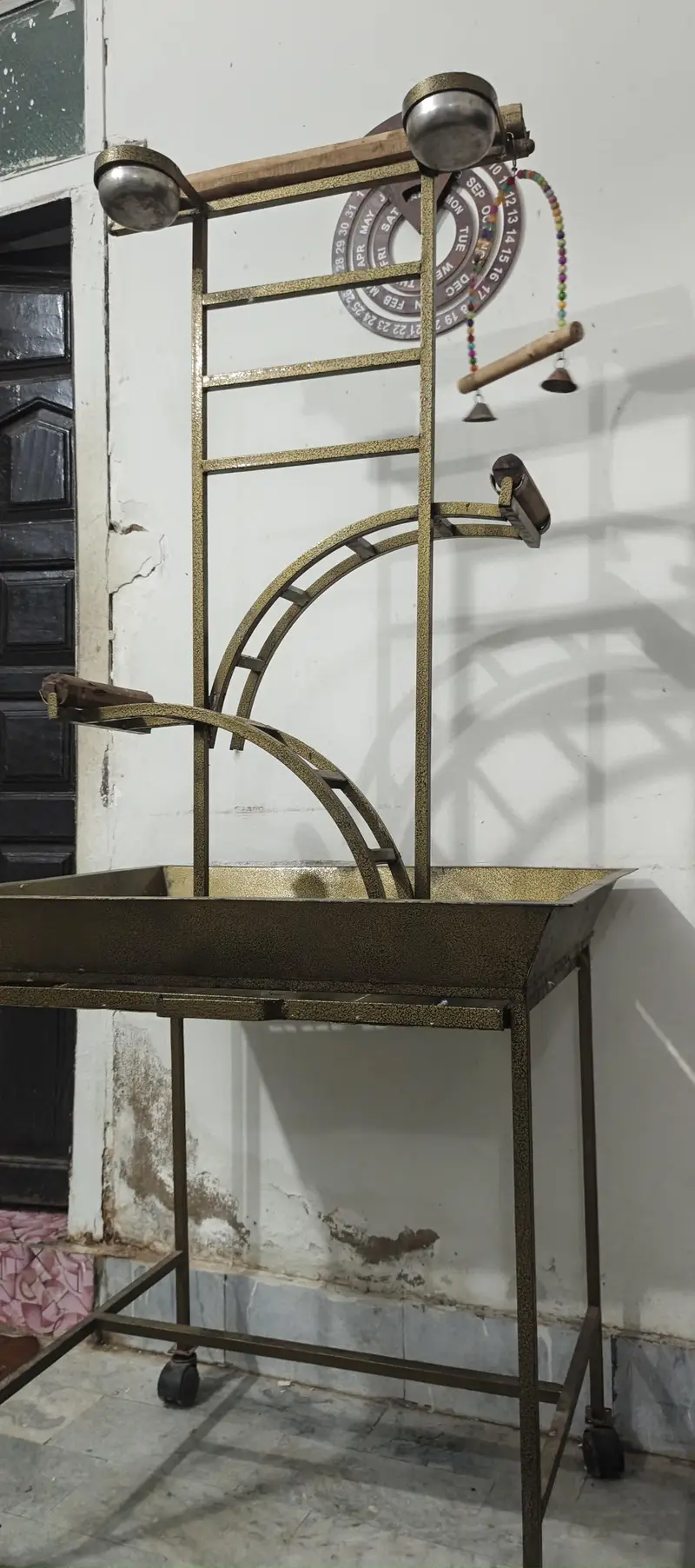 all birds stand — photo 6