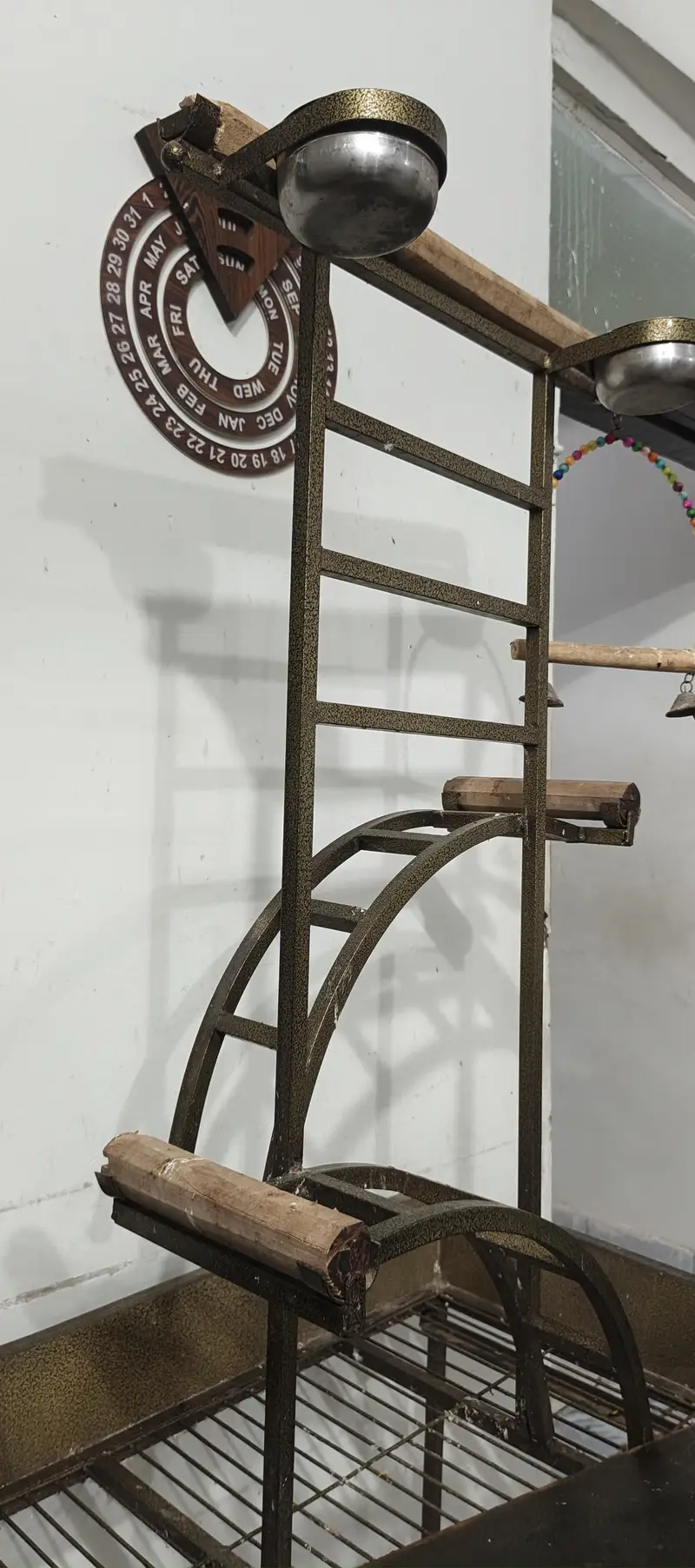 all birds stand — photo 7