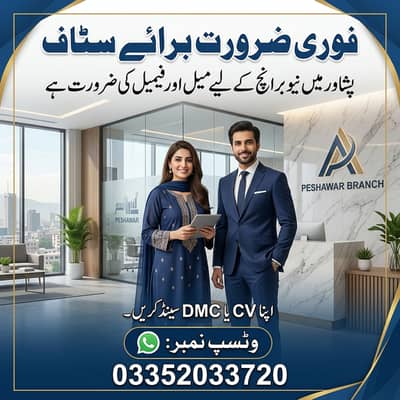 Bronze Consultant