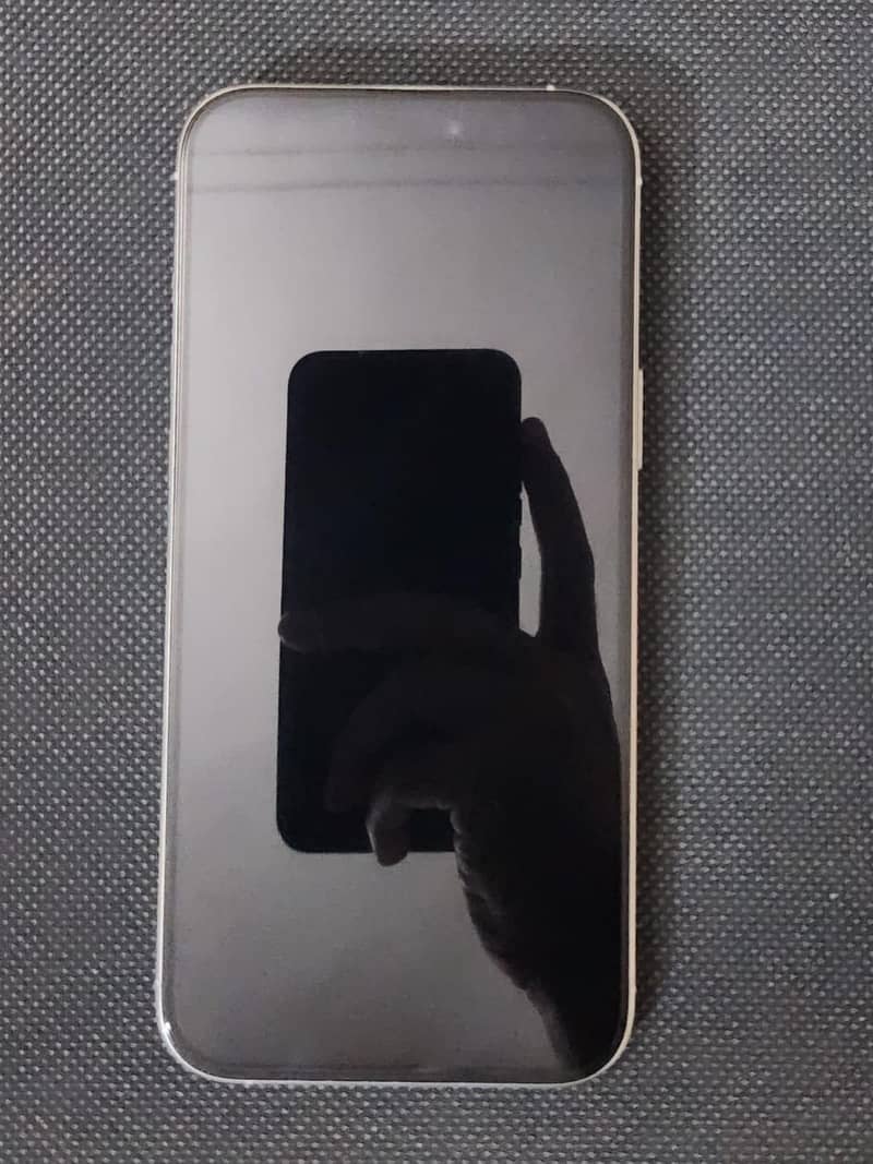Apple iPhone 16 Pro Max 1