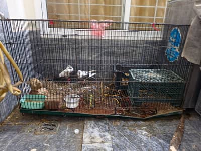 BIG SIZE CAGE FOR ALL TYPE OF ANIMALS