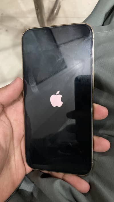 Apple iPhone 13 Pro