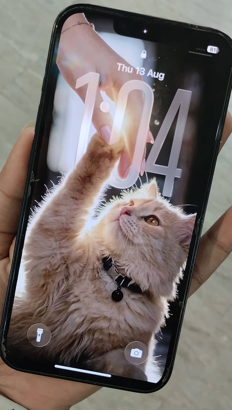 Apple iPhone 13 1