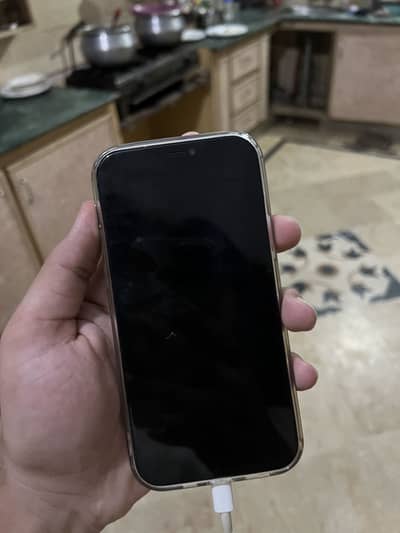Apple iPhone 12 Pro