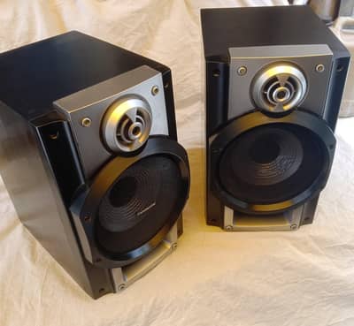 Panasonic speaker