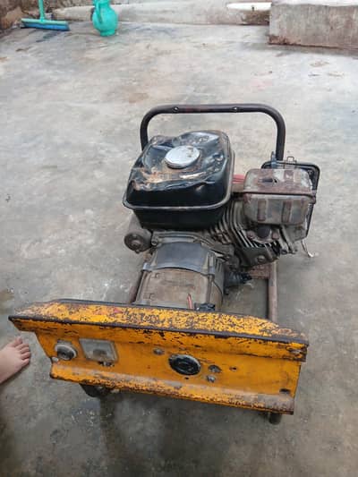 3 kv  fresh pcs