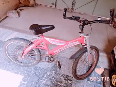 20inche cycle