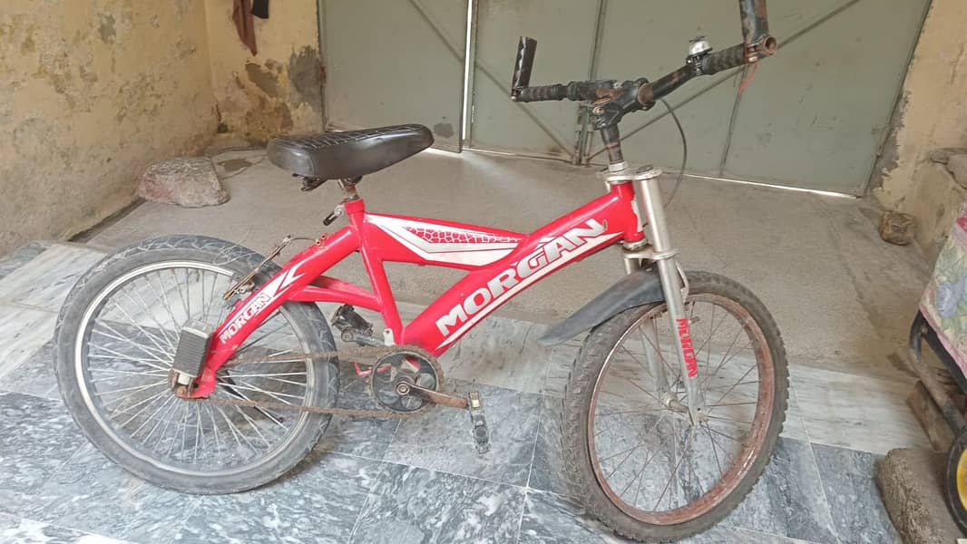 20inche cycle 3