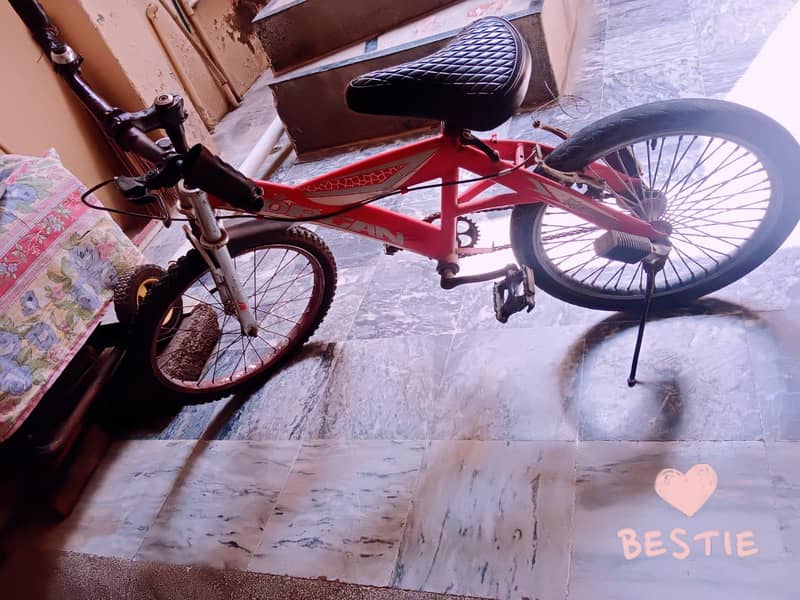 20inche cycle 5