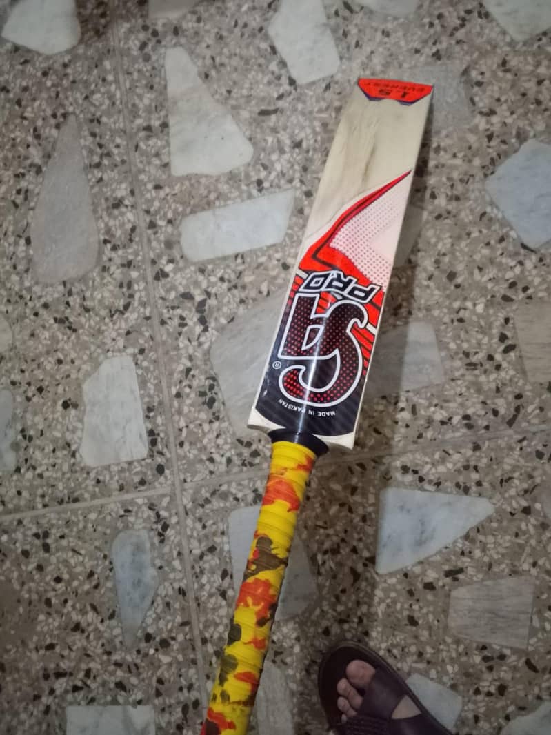 cricket kit 2