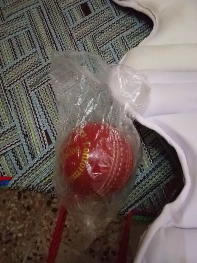 cricket kit 9