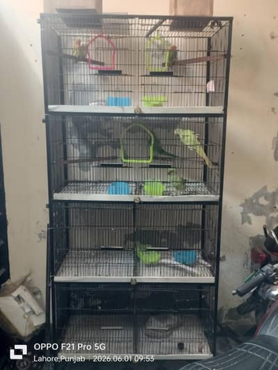 birds cage for sale